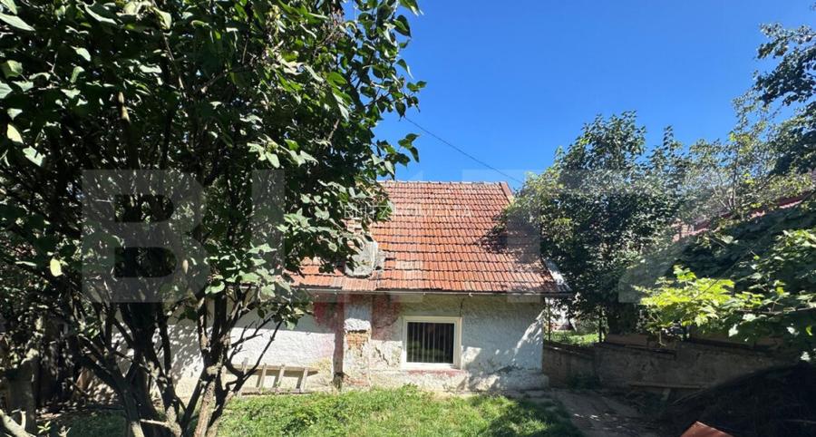 Casa individuala de vanzare, cu anexa si curte, zona Schei Casa individuala de vanzare, cu anexa si curte, zona Schei