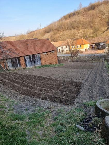 Casa individuala de vanzare curte si gradina suprafata 1500mp - 5