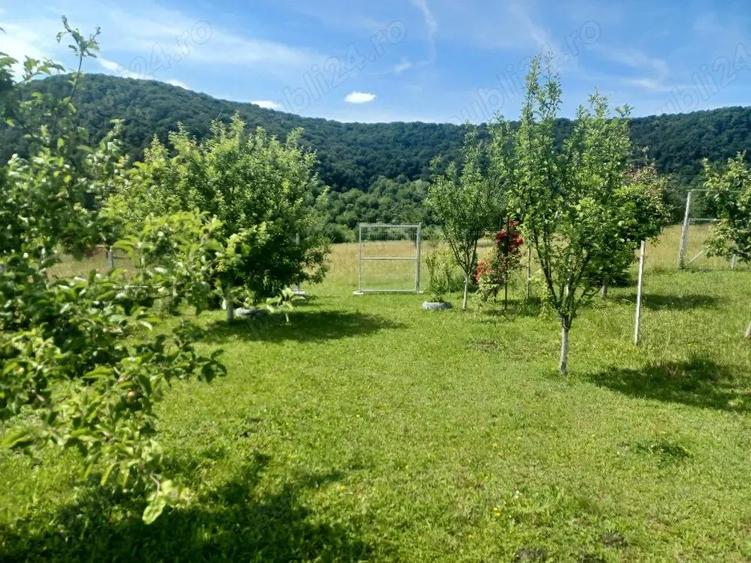 Cabana de vanzare - 5