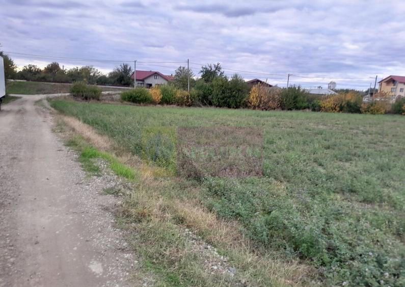 COSERENI( il ) - TEREN 2K MP DE VANZARE (52 M DESCHIDERE ... - 9