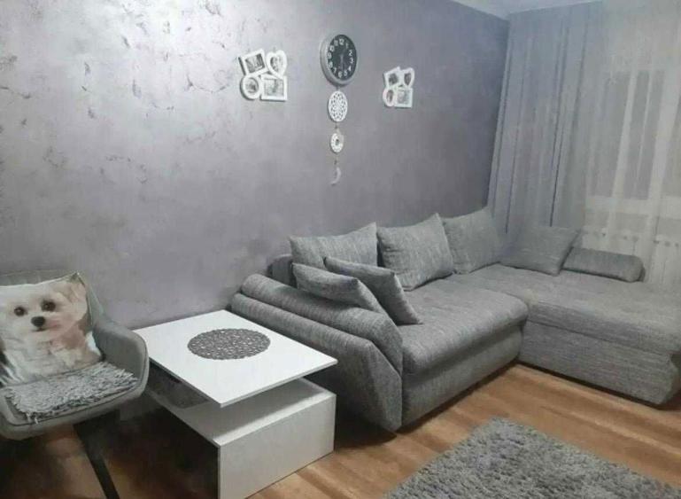 Vindem Ap 2 cam, decomandat Rogerius - 6