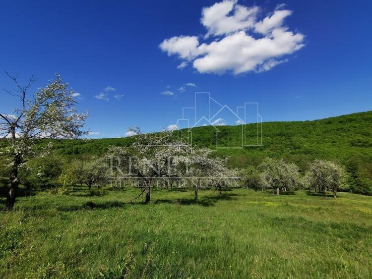 Teren de Vânzare, Budeasa Mica – Potrivit pentru Casă de Vacanță sau Investiție - 10