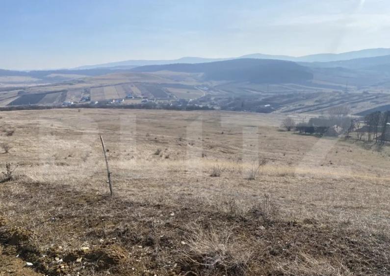 Teren extravilan in suprafata de 140551 mp in loc. Recea - 1