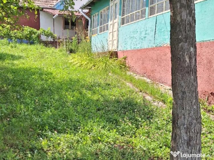 De vanzare casa teren 6000mp sat Tioltiur com. Cornesti jud. Cluj - 3