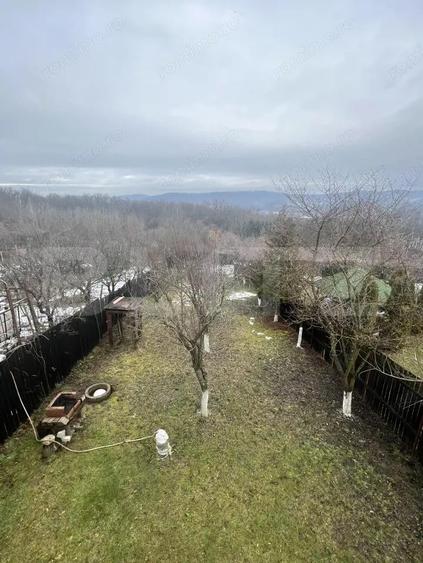 Cabana de lemn- Vatmani - 8