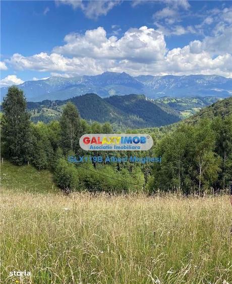 Vanzare teren intravilan 10818 mp , 47 ml la DN 73 Moieciu de Jos - 2