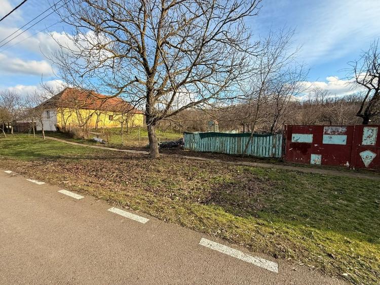 Teren cu deal, panoramă și potențial de investitie – Cornești - 8