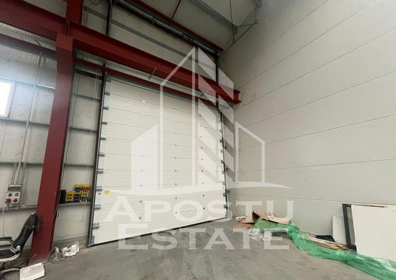 Hala 600 mp constructie noua Sacalaz - 4