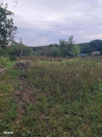 Teren Gheoghe Doja - 1