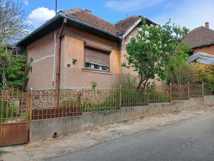 Casa de vanzare ora? ta?nad jud. satu mare - 4