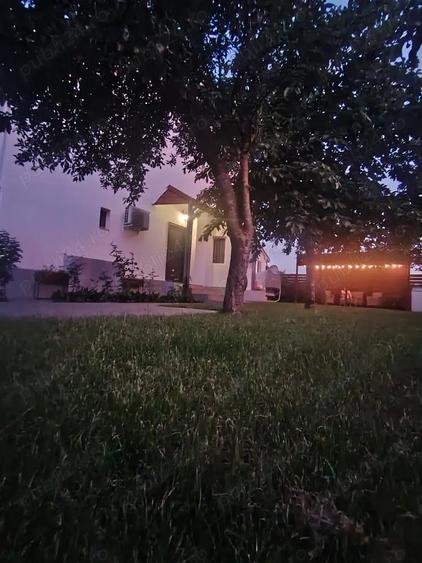 Casa 4 camere ?i curte in Darza Crevedia - 2