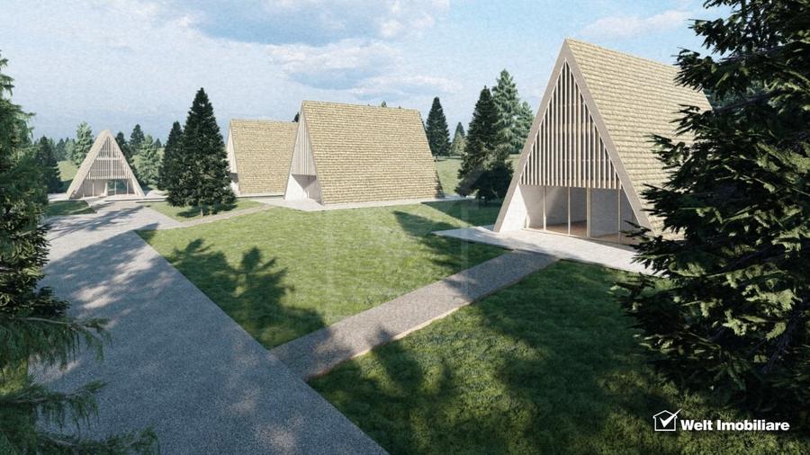 Teren intravilan 10.814 mp cu PUZ aprobat – Belis - 5