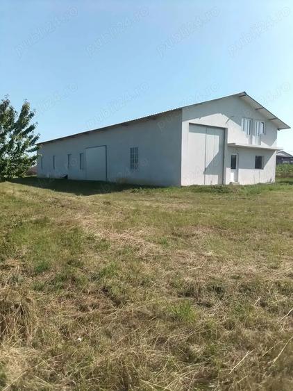 Vand hala industriala - 8