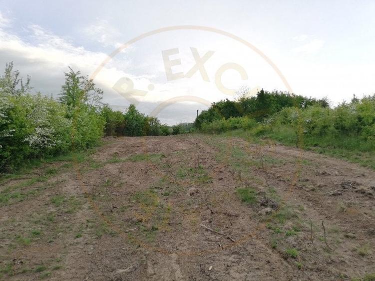 Teren 2000 mp intravilan Smeura-Mosoaia. Comision 0% - 3