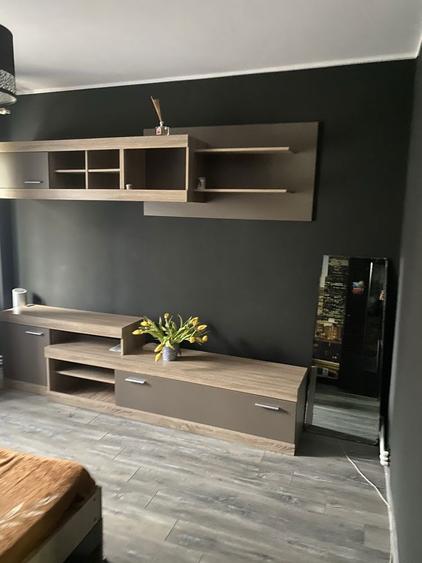 Ofer spre inchiriere apartament o camera - 1