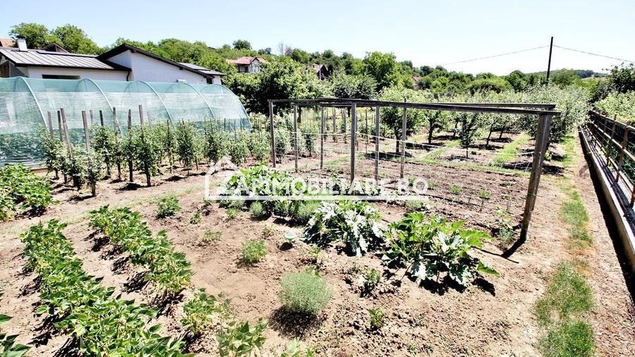 Teren intravilan 1.300 mp.zona Belvedere Targu Mures - 3