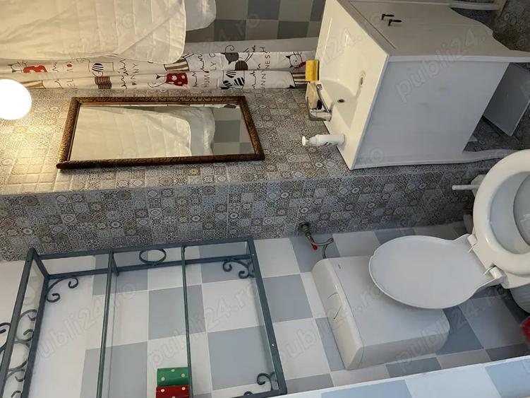 Apartament vintage-chic Grigorescu - 7