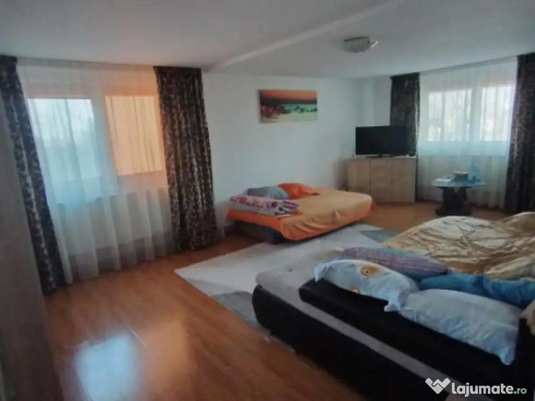 Casa P+1+M, 185 mp, teren 590 mp, Leamna de jos - 6