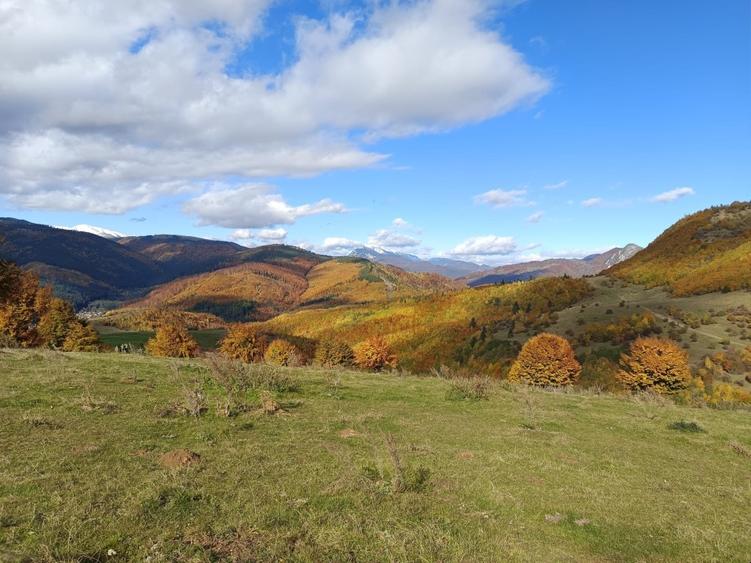 VÂND TEREN EXTRAVILAN 10.000 MP – ZONĂ MONTANĂ ARGEȘ - 2