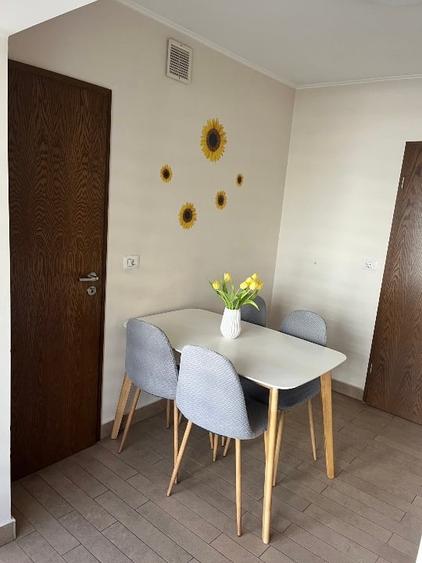 Apartament 2 camere Baba Dochia - 10