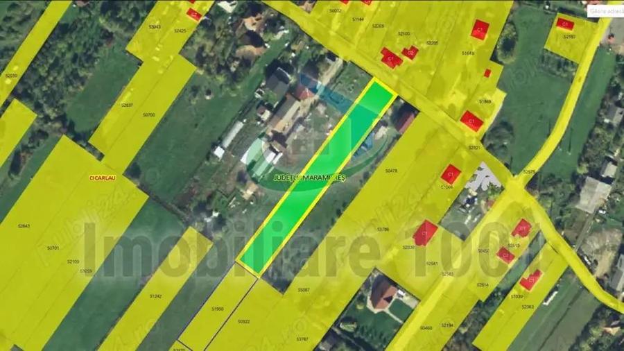 Cicarlau, teren intravilan, zona de case, suprafata 2936 mp - 4
