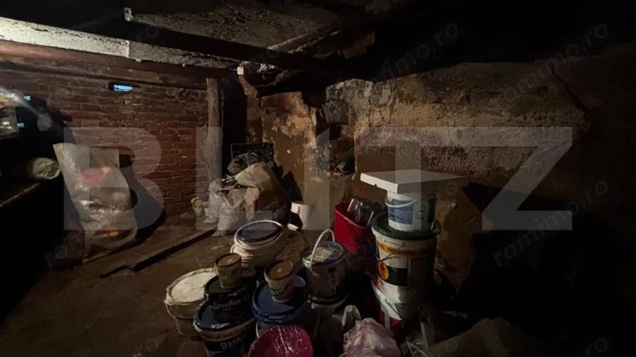 Proprietate cu 2 case, 3.345 mp teren, Balota de Jos, comuna Murga?i - 17
