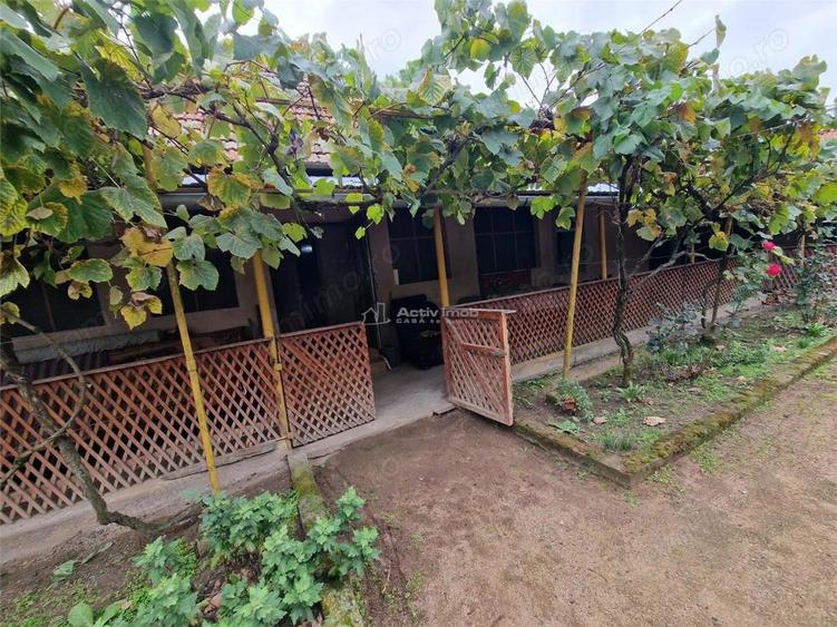 Sosdea 2 Case cu Teren 4657 Mp. - 18