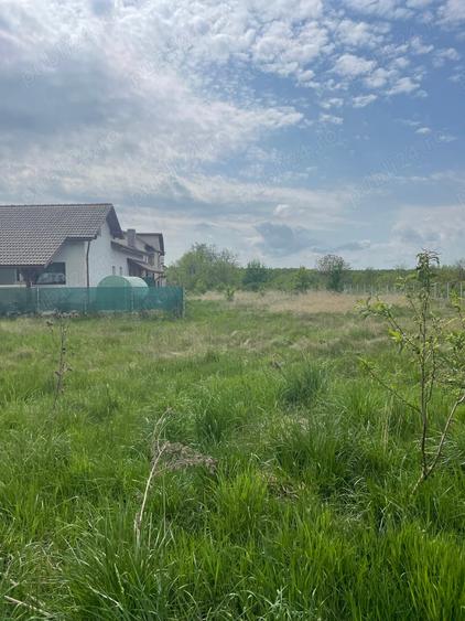 Teren de 550 mp, în Tăuții-Măgherăuș