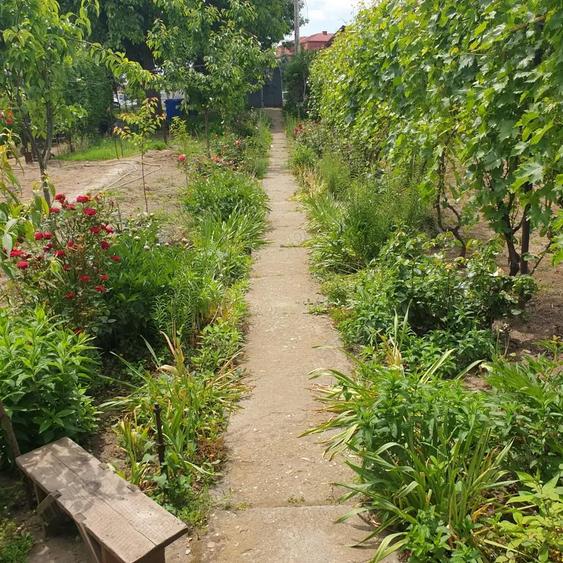 Casa de vanzare in Craiova pe Raului, teren mare - 5