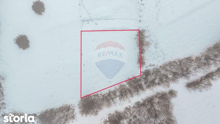 Teren 500 mp intre Perdelu? ?i Tohanul Nou - 7