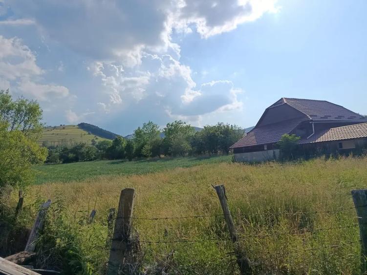 Casă cu 3 camere în Central