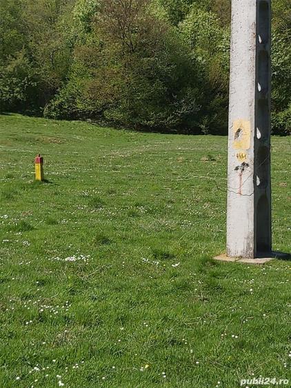Teren de 8500 mp, în Părău