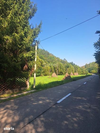 MIRIFIC! Teren intravilan 5500 mp Poiana Galdei