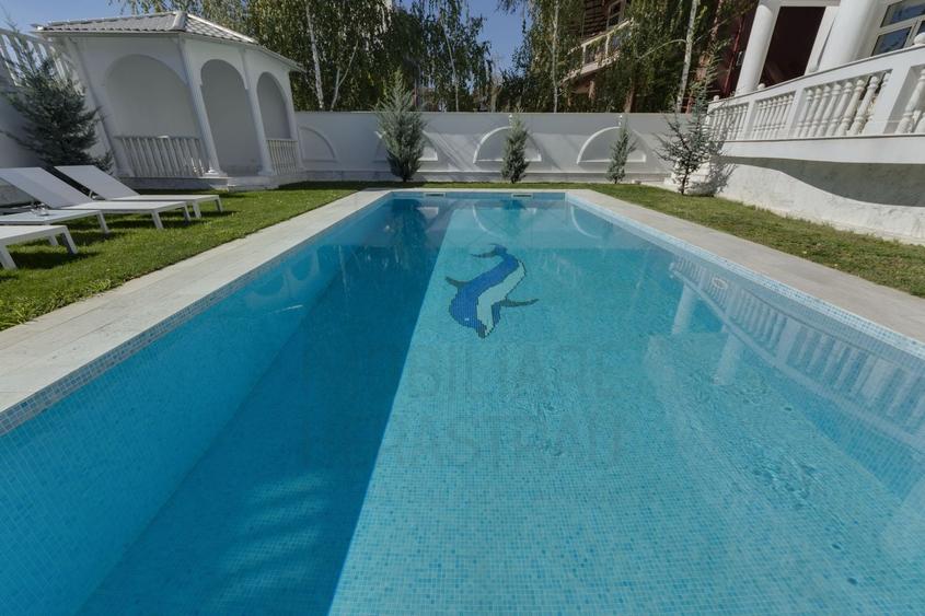 Casă individuală cu 14 camere cu Canalizare în Herăstrău