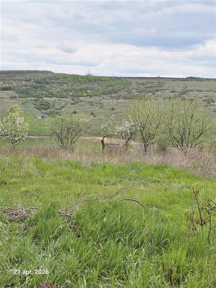 Teren intravilan de 540 mp, în Dorobanț