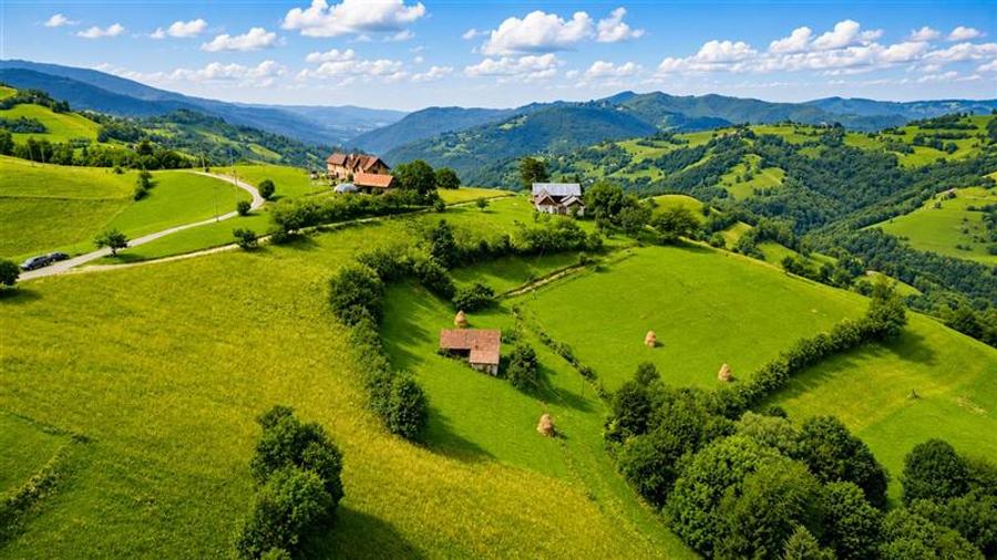 Teren Construcții intravilan de 10335 mp, în Poiana Mărului