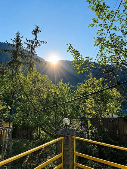 Casă cu 6 camere cu Teren 4600 Mp în Tarcău