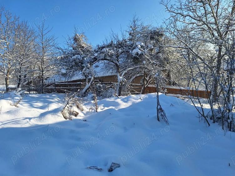 Teren de 2880 mp, în Mustești