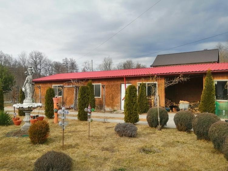 Casa P+M, Malureni -Toplita,  teren 2.798mp - 7