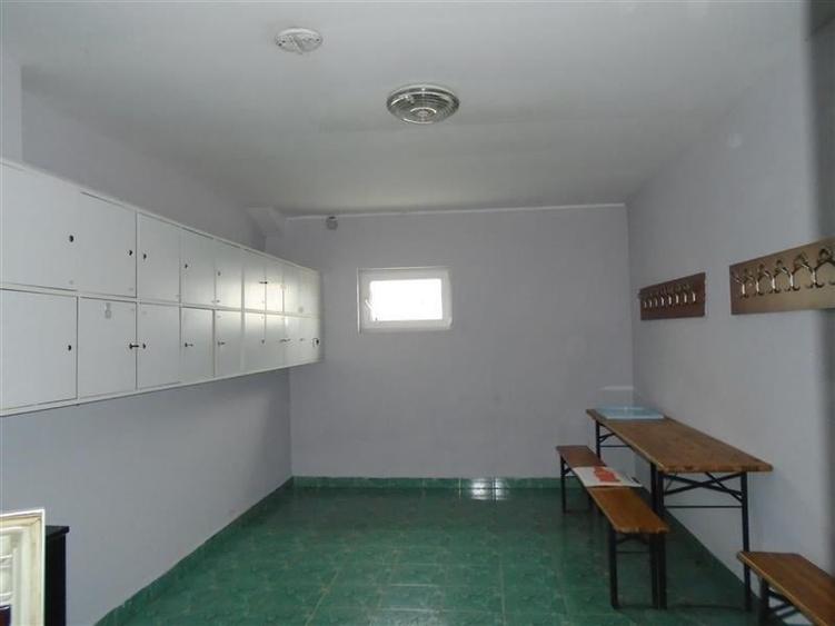 Hala de inchiriat in Aradul Nou - 4