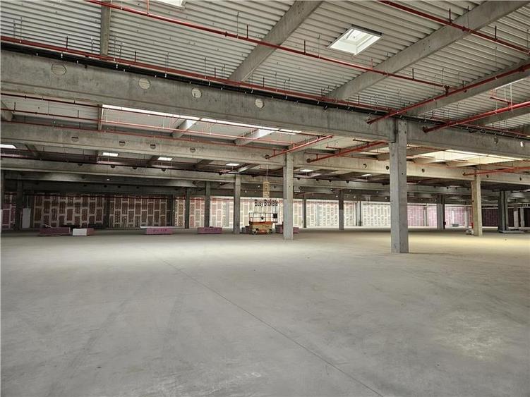 Spatiu Industrial - 9500 mp - Logistica - Productie - Depozitare - Distributie - 10