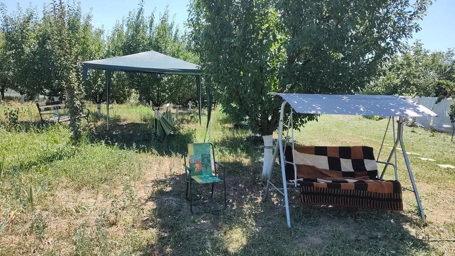 Căscioarele teren 1200 mp + căsuță de gradină și anexe - 8