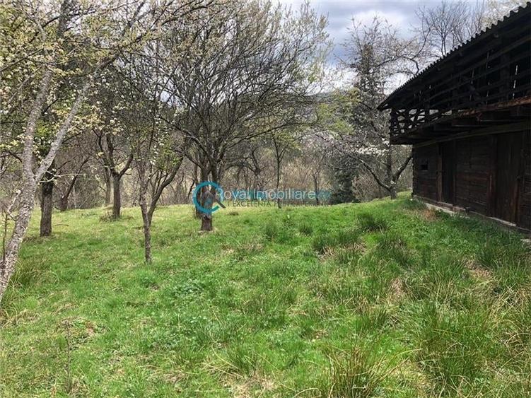 Royal Imobiliare-Vanzare Teren Zona Voineasa