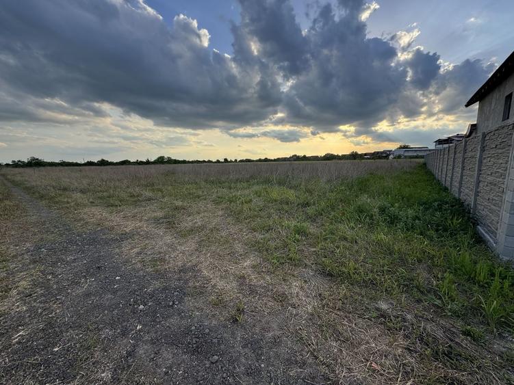 Teren Intravilan Becicherecu Mic ,776 mp,Fs. 17,5m - 2