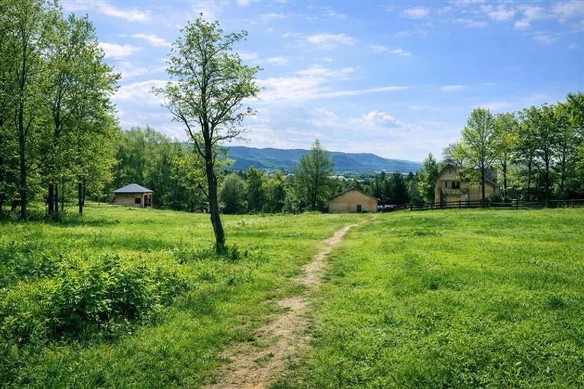 3.000mp de incantare montana cu cabana din lemn masiv, Zarnesti Tohanita - 2