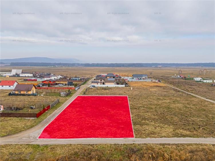 Teren 1000 mp Harman - 2