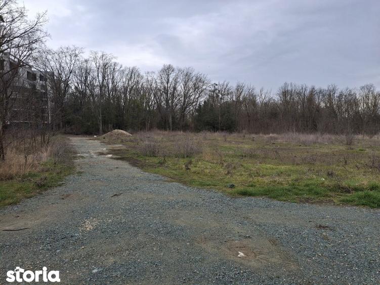 Neptun teren intravilan construibil 1750 mp - 3