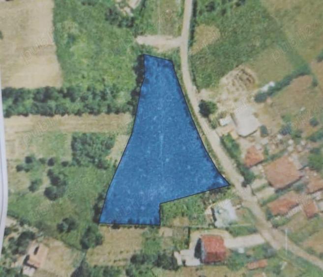 Teren Jiblea Veche - 1