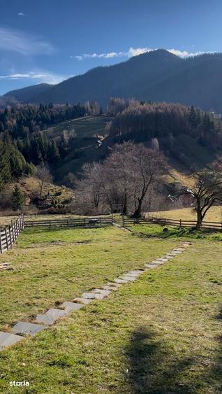 INVESTITIE - banii inapoi in 5 ani /Cabana A frame/Gaz.Apa.Canal/400m2 - 6