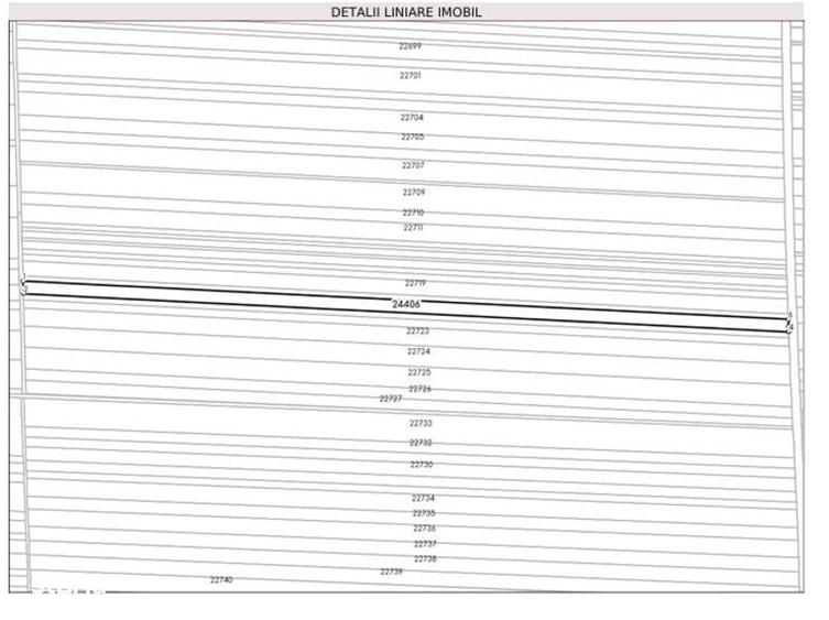 2,43 Ha Teren Agricol in Albe?ti +Teren Casa de vanzare in Albesti - 3